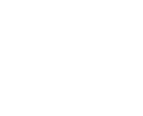 anatomia